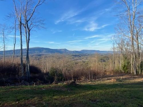 1 Chestnut Mountain Rd, Reliance, TN, 37369 | Card Image