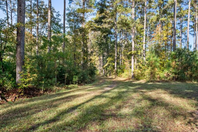 HFL_OSBORNE TRACT-4 | Image 11
