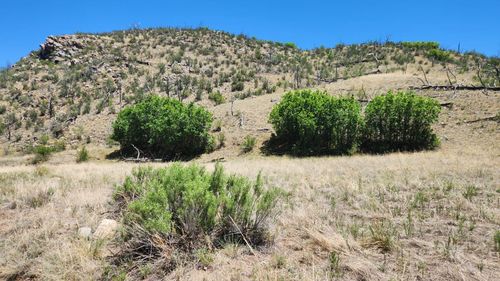 TBD L 35th Trail, Cotopaxi, CO, 81223 | Card Image
