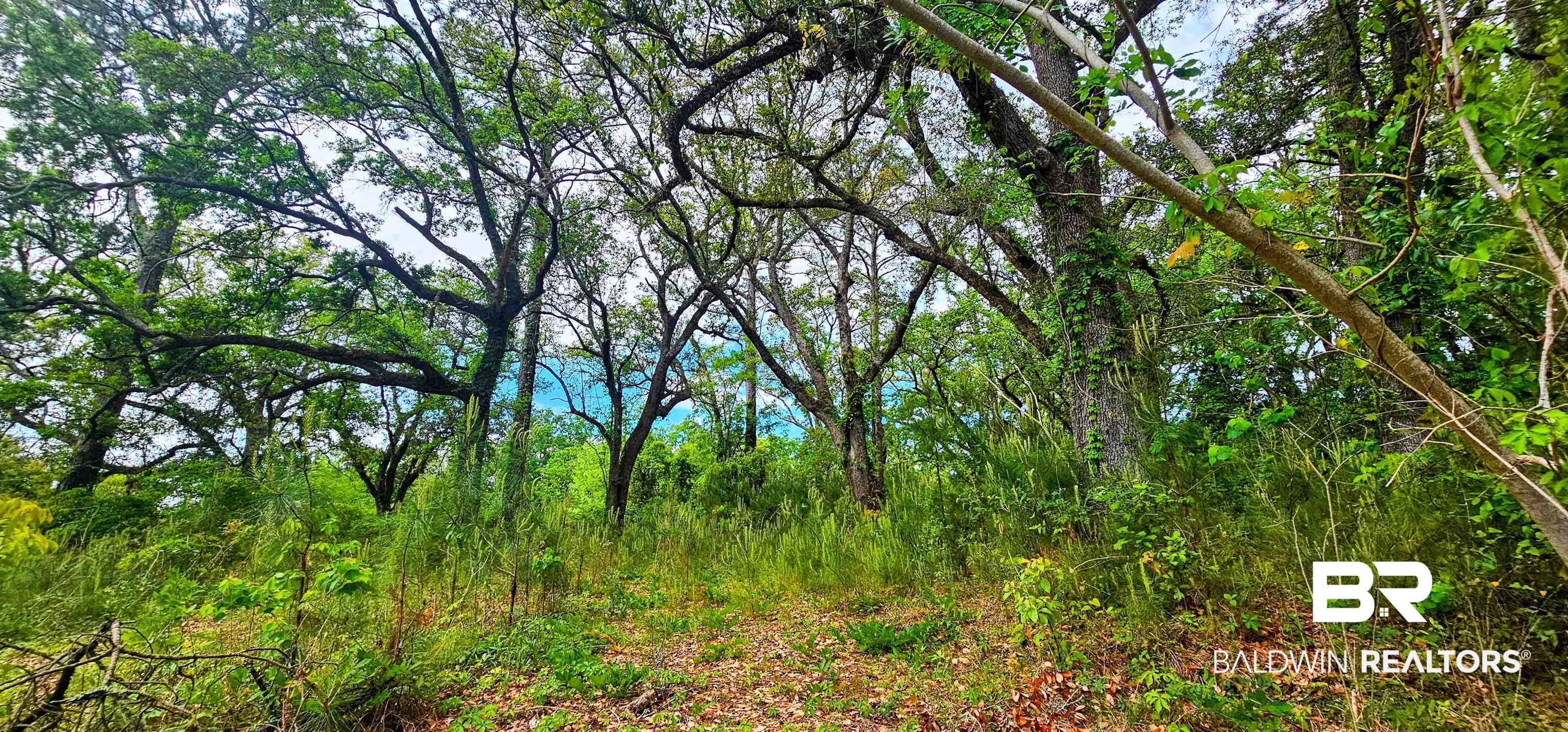 Land in Spanish Fort 3