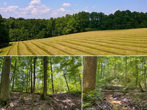 tract-3-wolf-hill-0 Wolf Hill Road, Vinton, OH, 45686 | Card Image