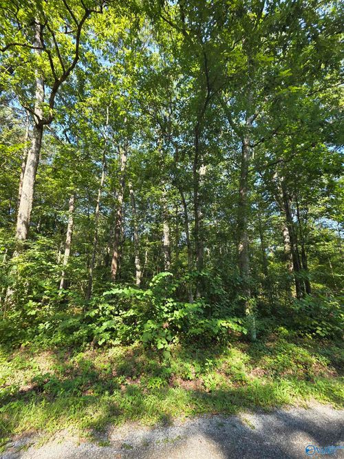 Lot 35 County Road 249, Leesburg, AL, 35983-3014 | Card Image