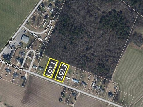 LOT 1 Black Branch Rd, Dillon, SC, 29536 | Card Image
