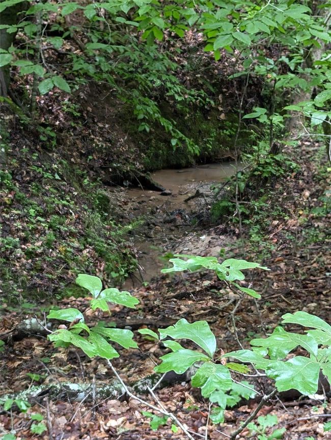 Stream~~ | Image 18