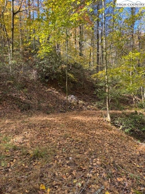 78 Holleridge Rd, Ferguson, NC, 28624 | Card Image