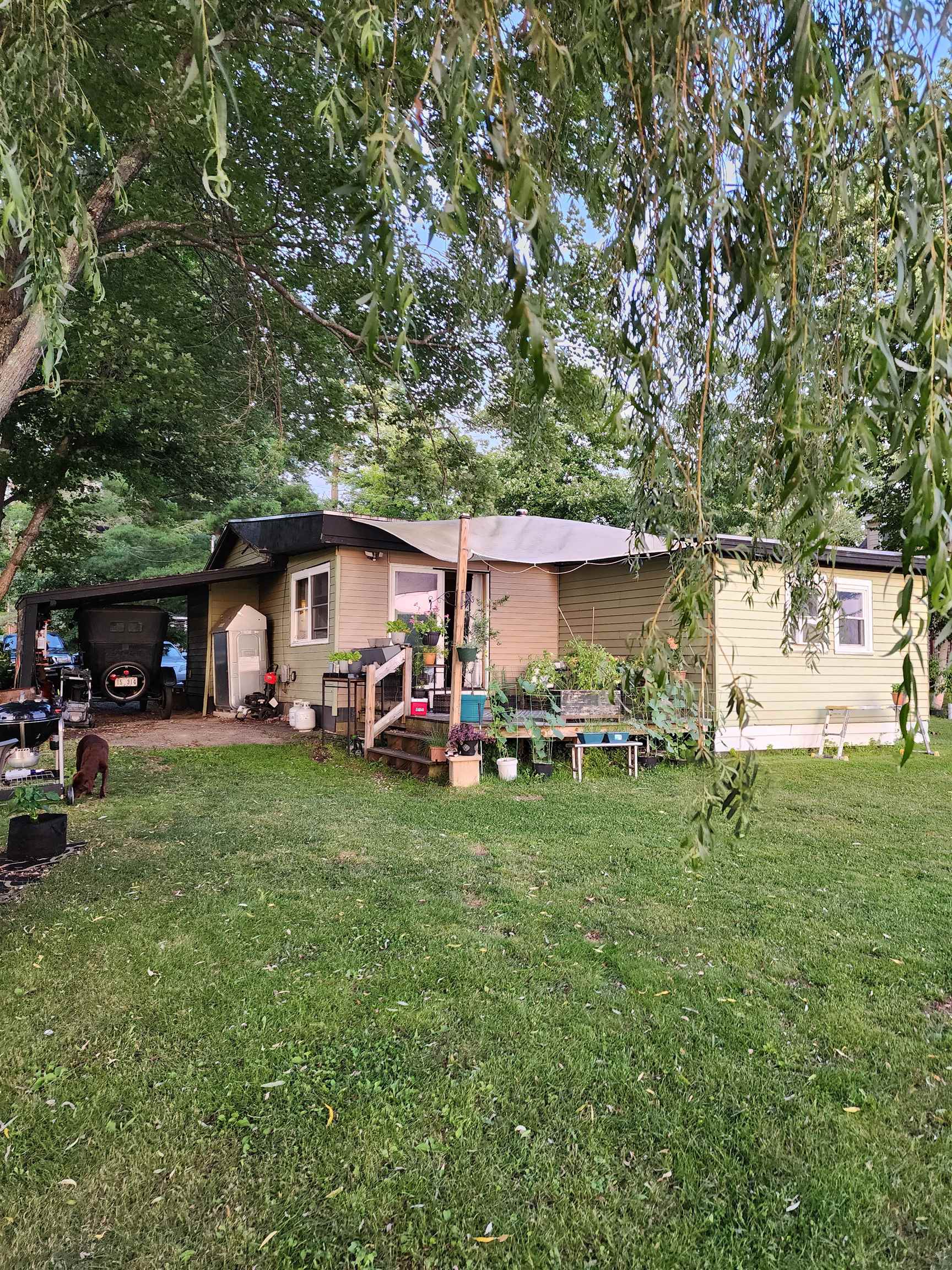 Residential in Dunbarton 5