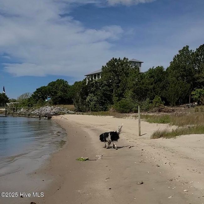 994 Seashore Dr Drive, Home with 0 bedrooms, 0 bathrooms and null parking in Atlantic NC | Image 8