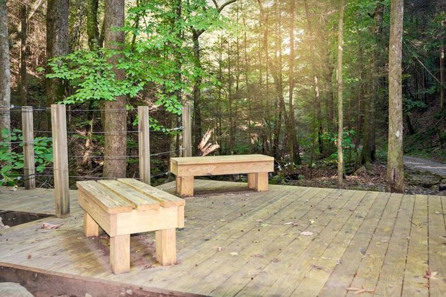 14 - 292 Log Cabin Ln, House other with 3 bedrooms, 2 bathrooms and 2 parking in Dunlap TN | Image 69