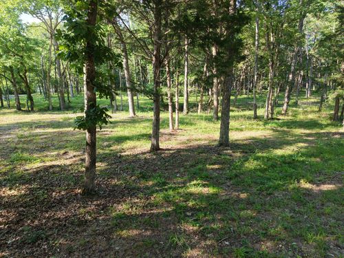 0 Millersburg Rd, Christiana, TN, 37037 | Card Image