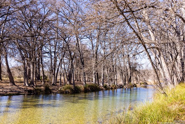 2800 Little Dry Frio Rd, Home with 0 bedrooms, 0 bathrooms and null parking in Rio Frio TX | Image 6