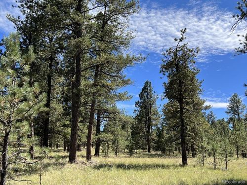 82 Kiowa Cir, Westcliffe, CO, 81252 | Card Image