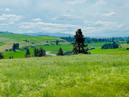 11900 E Hays Rd, Spangle, WA, 99031 | Card Image