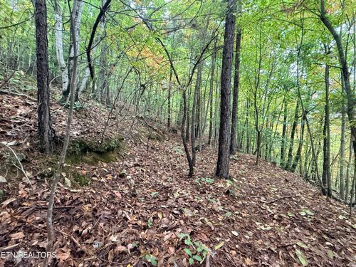 Lot 192 Clinch View Rd, New Tazewell, TN, 37825-6384 | Card Image