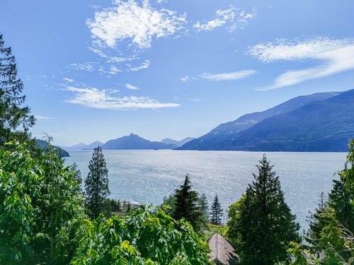 {{alt}} | Card Image