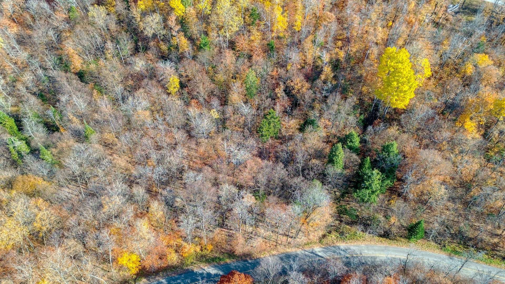 Land in Morin-Heights 5