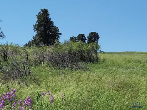 tbd-blue-star-st-TBD Other, Spearfish, SD, 57783 | Card Image