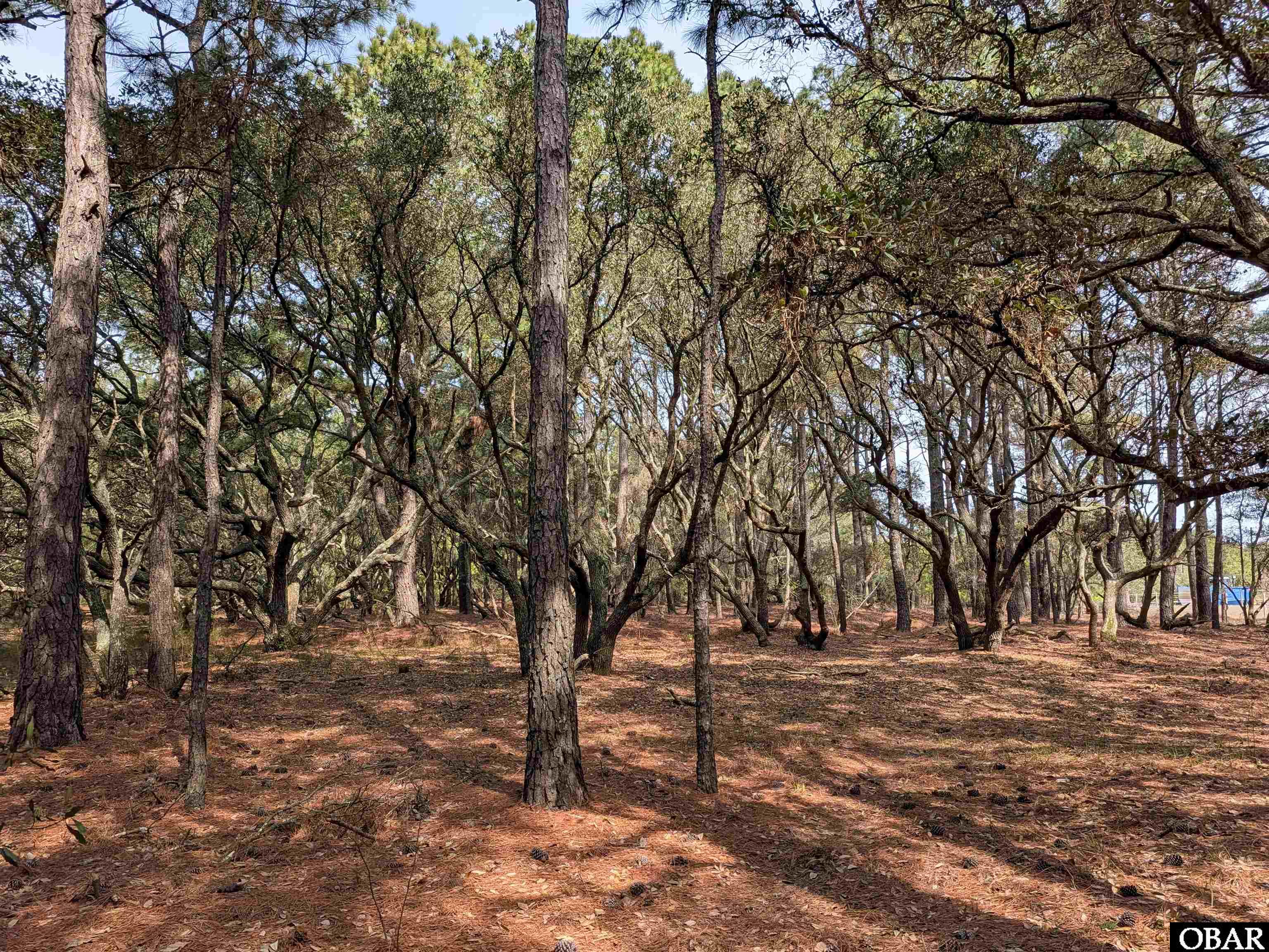 Land in Corolla 5
