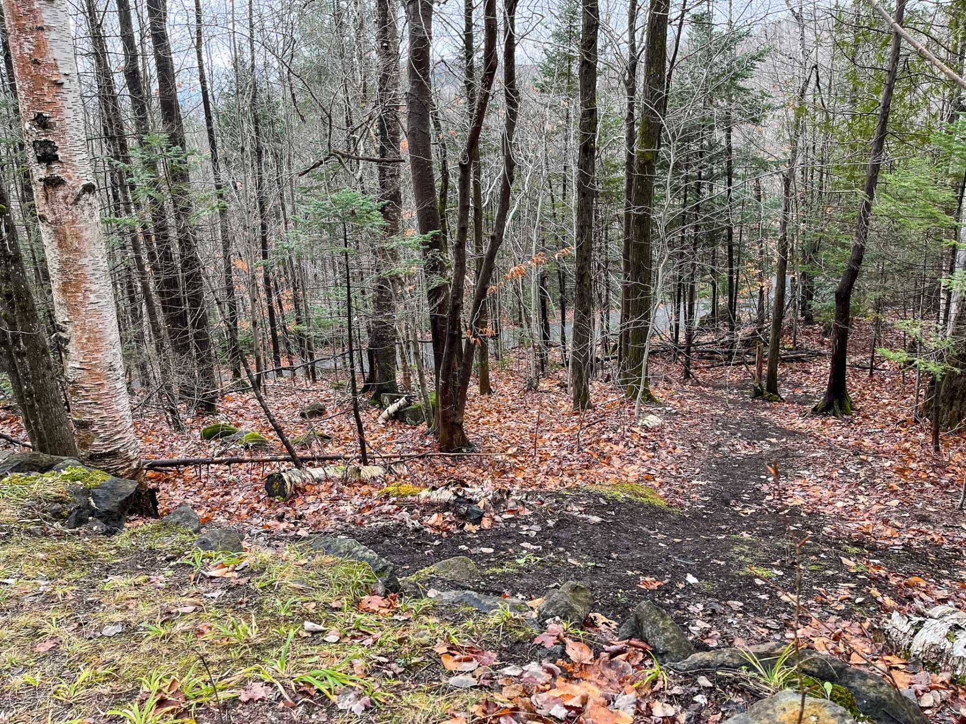 Land in Sainte-Adèle 4