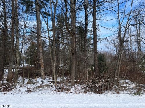 260 Old Chimney Ridge Rd, Montague, NJ, 07827 | Card Image