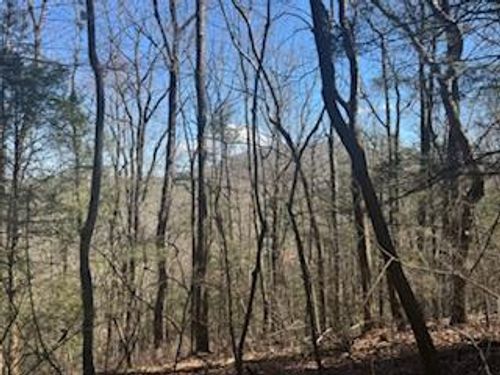 Lot 14 Butler Creek Road, Cherry Log, GA, 30552 | Card Image