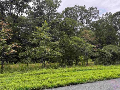 Lot 65 Cobalt Bay Dr, Shirley, AR, 72153 | Card Image