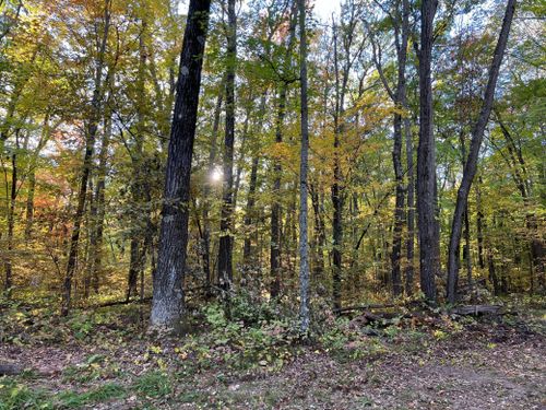 3459 103rd St, Clam Falls, WI, 54837-5037 | Card Image