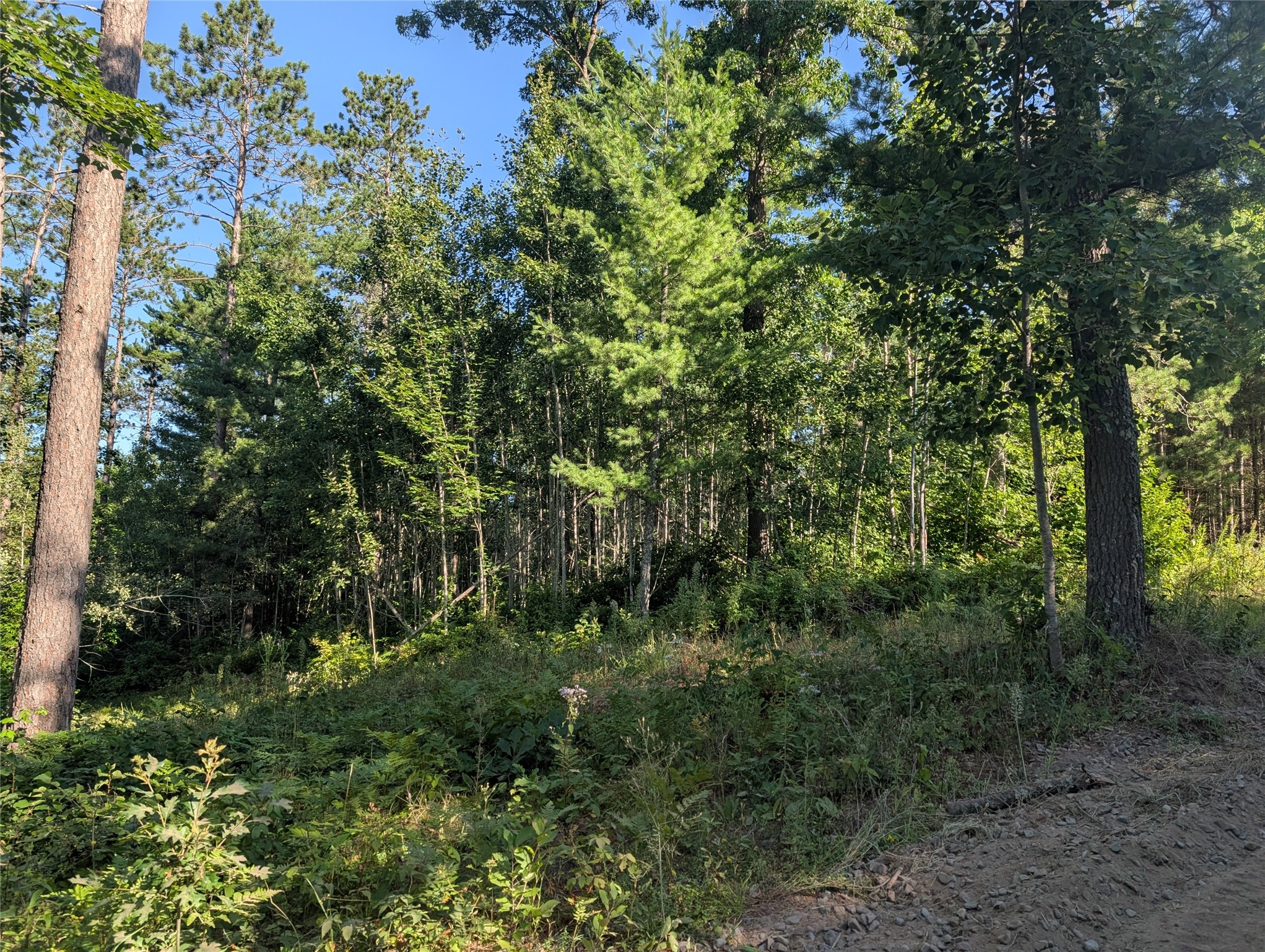 Land in Springbrook 4
