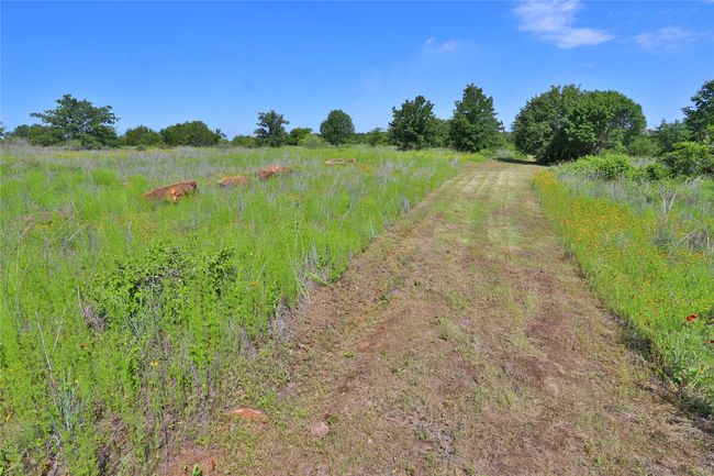 H9 Stagecoach Trl, Home with 0 bedrooms, 0 bathrooms and null parking in Gordon TX | Image 4
