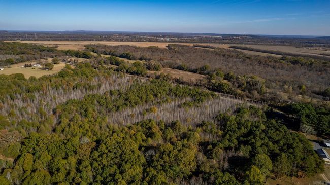 Lot 3 Roland Woods, Hwy 300, Home with 0 bedrooms, 0 bathrooms and null parking in Roland AR | Image 10
