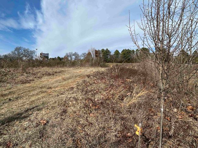 278 C Highway 64 E, Home with 0 bedrooms, 0 bathrooms and null parking in Conway AR | Image 15