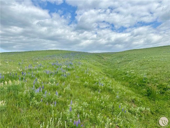 15.9 Ac Buck Creek Road, Home with 0 bedrooms, 0 bathrooms and null parking in Absarokee MT | Image 8