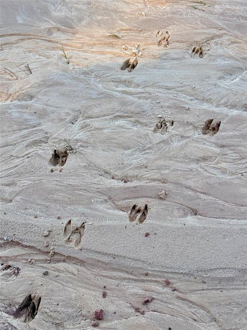 000 E Lakeland Ct, Hillister, TX, 77624 | Card Image