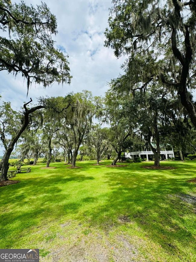 LOT 557 Woodstork Ln, Home with 0 bedrooms, 0 bathrooms and null parking in Townsend GA | Image 8