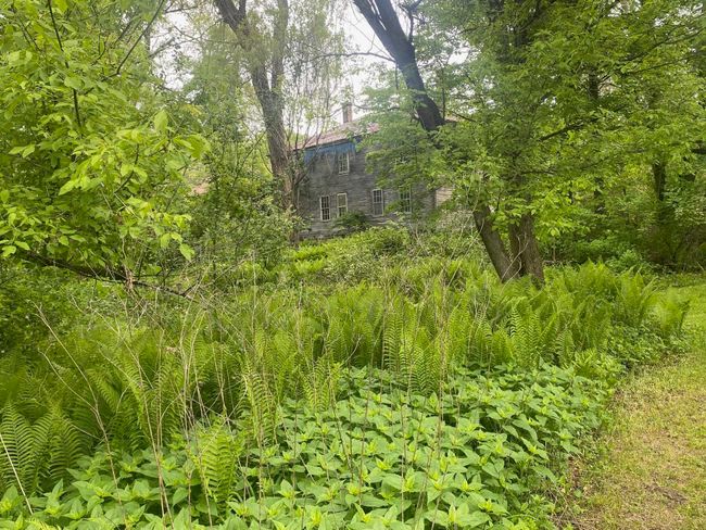 1254 Route 5, House other with 8 bedrooms, 1 bathrooms and null parking in Springfield VT | Image 6