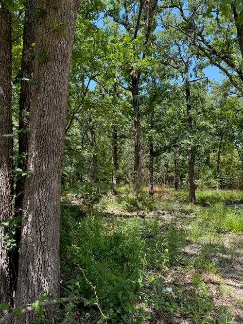 316 Sandy Lynn, West Tawakoni, TX, 75474 | Card Image