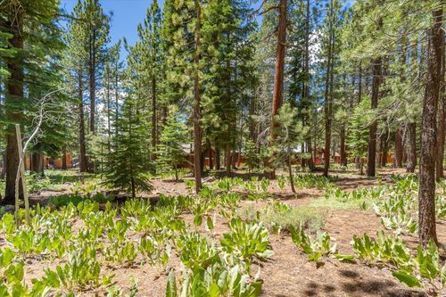 11921 Oslo Drive, Truckee, CA, 96161 | Card Image