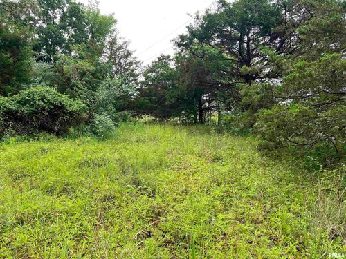Lot 211 Cherokee Dr, Goreville, IL, 62939-2208 | Card Image