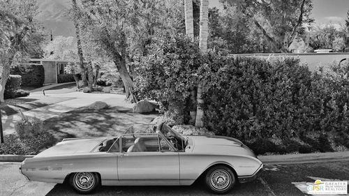 apt-101-360 Cabrillo Rd, Palm Springs, CA, 92262-2074 | Card Image