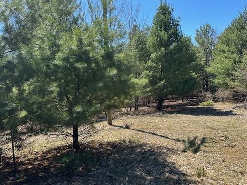 Lots B & C Se Torch Lake Drive, Forest Home Township, MI, 49615 | Card Image