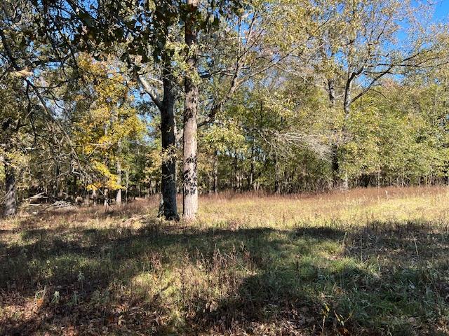 Land in Broken Bow 5