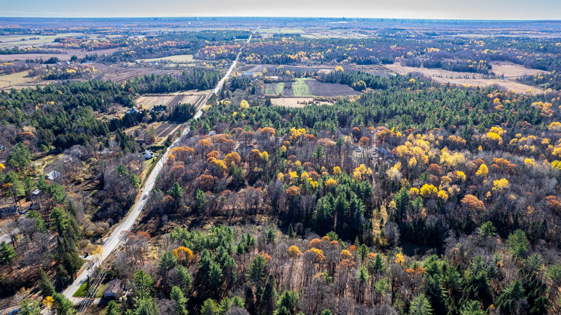 Land in Cantley