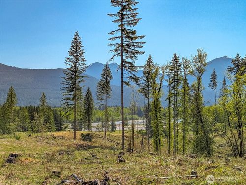 lot-a1-0 Craig Rd, Packwood, WA, 98361 | Card Image