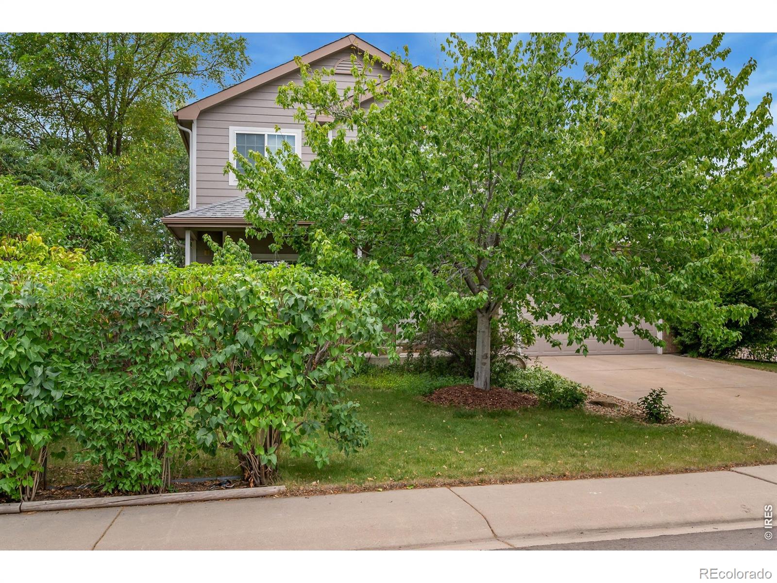 Residential in Loveland 2