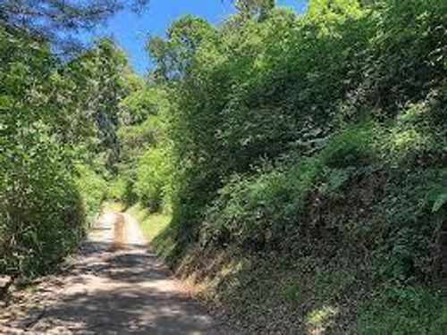 0 Farr Ave, Aptos, CA, 95003 | Card Image