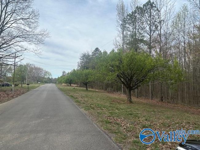 39 Fort Bluff Rd, Home with 0 bedrooms, 0 bathrooms and null parking in Eva AL | Image 5