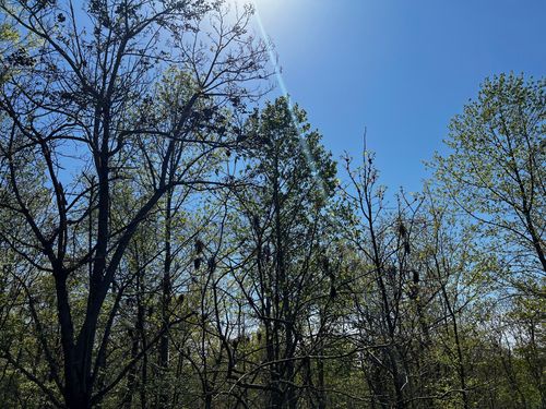 0 Leatherwood Trl, Stewart, TN, 37175 | Card Image