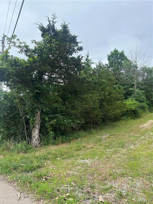 00 Marseilles Dr, Bonne Terre, MO, 63628 | Card Image