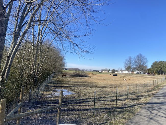 93 Evans Rd, House other with 3 bedrooms, 1 bathrooms and 1 parking in Five Points TN | Image 27