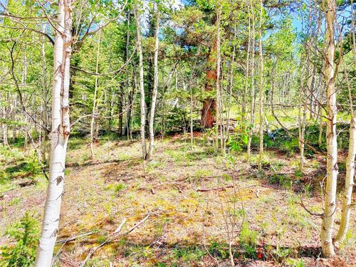 224 Apache Trl, Como, CO, 80432 | Card Image