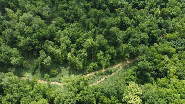Aerial view of property and surrounding area | Image 57